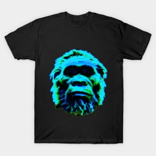 Neanderthal head T-Shirt